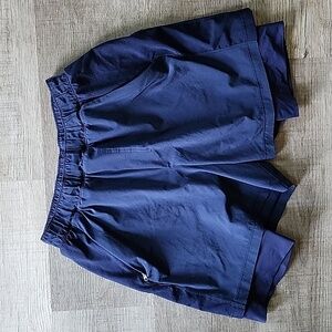 Lululemon Athletica Blue Athletic Shorts with Elastic Waistband